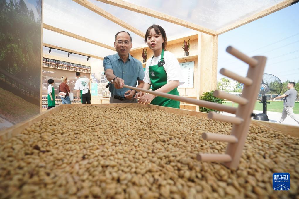 送彩金500的网站大白菜